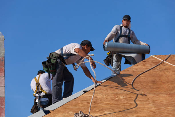Roof Gutter Cleaning in Gwinn, MI